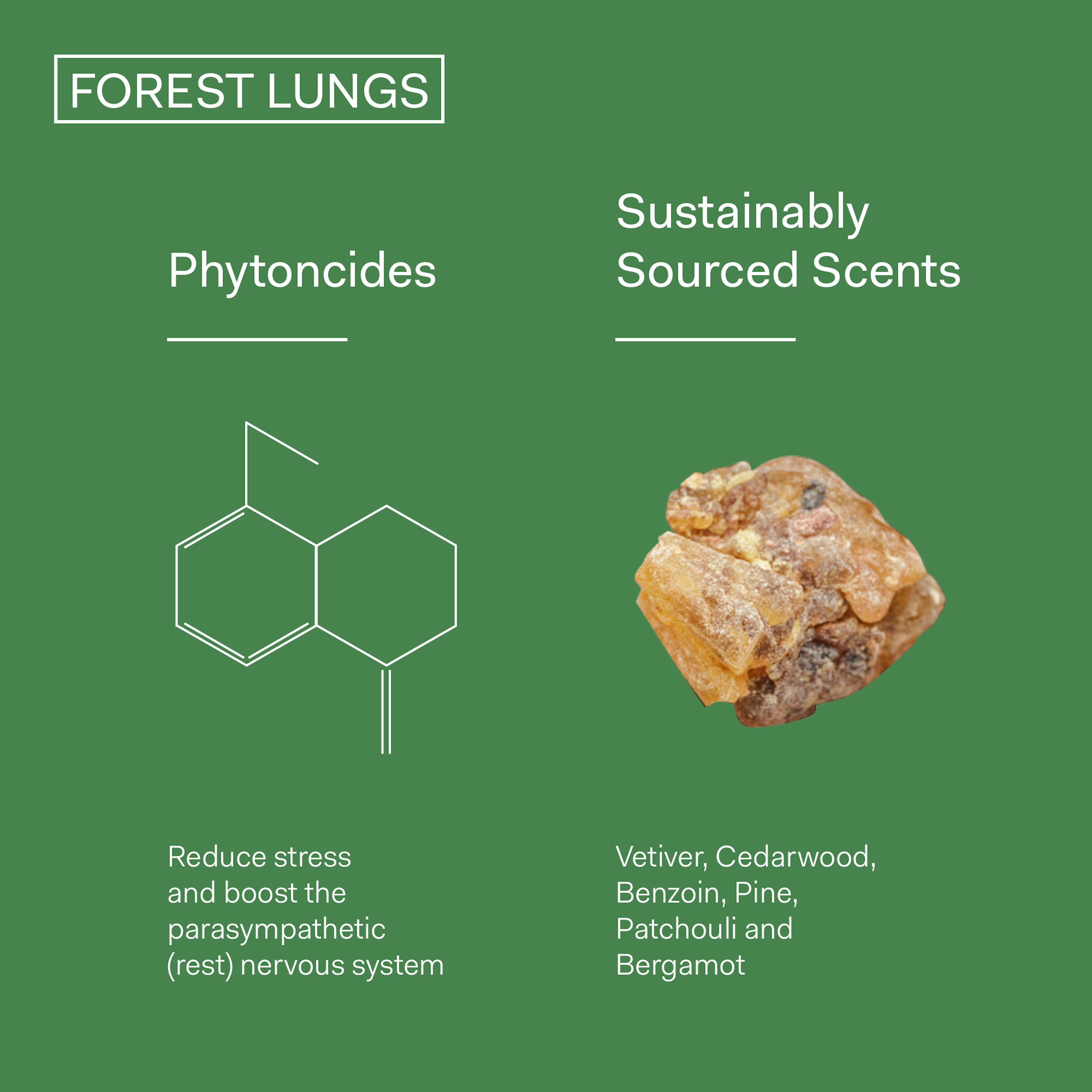 Load image into Gallery viewer, The Nue Co. Forest Lungs
