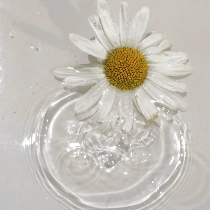Load image into Gallery viewer, MARA Plankton + PHA Flower Acid Algae Serum
