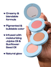 Load image into Gallery viewer, Alleyoop Stack the Odds Blush, Bronzer &amp; Highlighter Trio
