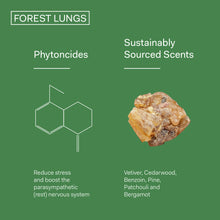 Load image into Gallery viewer, The Nue Co. Forest Lungs
