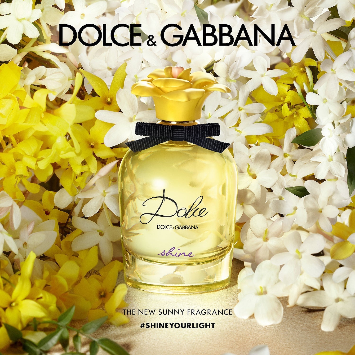 Load image into Gallery viewer, DOLCE &amp; GABBANA Shine Eau de Parfum
