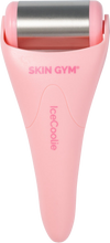 Load image into Gallery viewer, Skin Gym IceCoolie Roller
