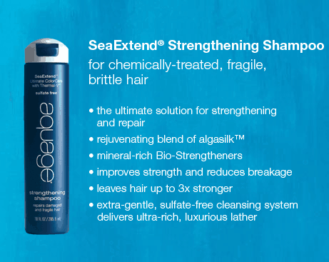 Load image into Gallery viewer, Aquage SeaExtend Strengthening Shampoo
