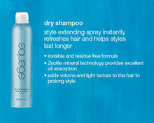 Load image into Gallery viewer, Aquage Dry Shampoo
